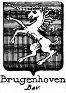Brugenhoven Coat of Arms / Family Crest 0