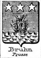 Bruhn Coat of Arms / Family Crest 0