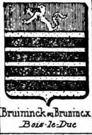 Bruininck Coat of Arms / Family Crest 0