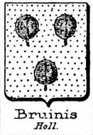Bruinis Coat of Arms / Family Crest 0