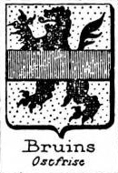 Bruins Coat of Arms / Family Crest 0