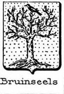 Bruinseels Coat of Arms / Family Crest 0