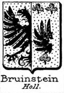 Bruinstein Coat of Arms / Family Crest 0