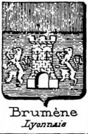 Brumene Coat of Arms / Family Crest 0