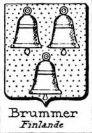 Brummer Coat of Arms / Family Crest 2
