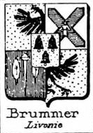 Brummer Coat of Arms / Family Crest 3