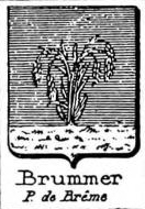 Brummer Coat of Arms / Family Crest 1