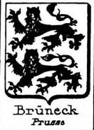 Bruneck Coat of Arms / Family Crest 1