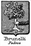 Brunelli Coat of Arms / Family Crest 7