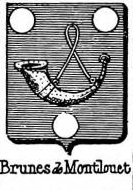 Brunes Coat of Arms / Family Crest 0