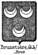 Brunetiere Coat of Arms / Family Crest 0