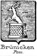 Brunicken Coat of Arms / Family Crest 0
