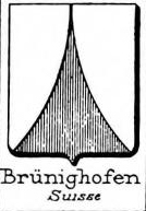 Brunighofen Coat of Arms / Family Crest 1