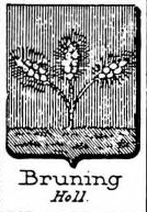 Bruning Coat of Arms / Family Crest 3