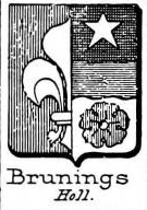 Brunings Coat of Arms / Family Crest 0