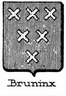 Bruninx Coat of Arms / Family Crest 1