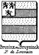 Bruninx Coat of Arms / Family Crest 0