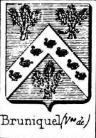 Bruniquel Coat of Arms / Family Crest 0