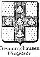 Brunninghausen Coat of Arms / Family Crest 0
