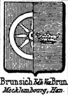 Brunsich Coat of Arms / Family Crest 0