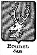 Brunst Coat of Arms / Family Crest 0