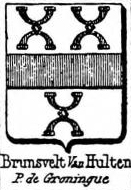 Brunsvelt Coat of Arms / Family Crest 1