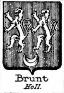 Brunt Coat of Arms / Family Crest 0