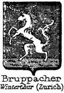 Bruppacher Coat of Arms / Family Crest 0