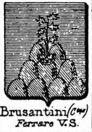 Brusantini Coat of Arms / Family Crest 0