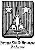 Brusch Coat of Arms / Family Crest 0
