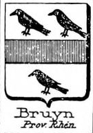 Bruyn Coat of Arms / Family Crest 4
