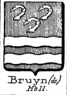 Bruyn Coat of Arms / Family Crest 13