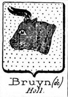 Bruyn Coat of Arms / Family Crest 14