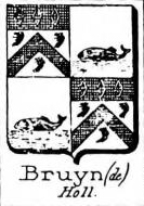 Bruyn Coat of Arms / Family Crest 17