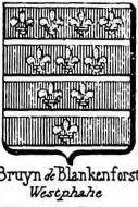 Bruyn Coat of Arms / Family Crest 21