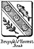 Bruyn Coat of Arms / Family Crest 24