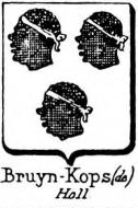 Bruyn Coat of Arms / Family Crest 25