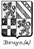 Bruyn Coat of Arms / Family Crest 29