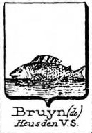 Bruyn Coat of Arms / Family Crest 31