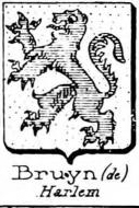 Bruyn Coat of Arms / Family Crest 7