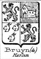 Bruyn Coat of Arms / Family Crest 8