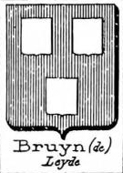 Bruyn Coat of Arms / Family Crest 9