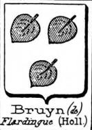 Bruyn Coat of Arms / Family Crest 10