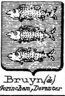 Bruyn Coat of Arms / Family Crest 11