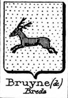 Bruyne Coat of Arms / Family Crest 3