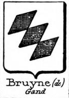Bruyne Coat of Arms / Family Crest 4