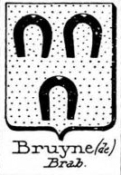 Bruyne Coat of Arms / Family Crest 5