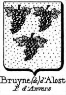 Bruyne Coat of Arms / Family Crest 7