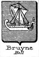 Bruyne Coat of Arms / Family Crest 2
