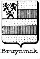 Bruyninck Coat of Arms / Family Crest 0